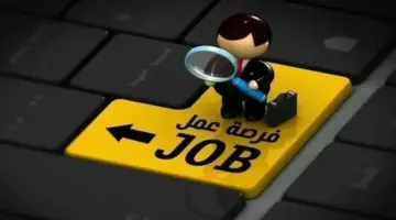 فرص عمل شاغرة براتب يصل إلى 15 ألف شهريا.. الشروط والمهارات المطلوبة